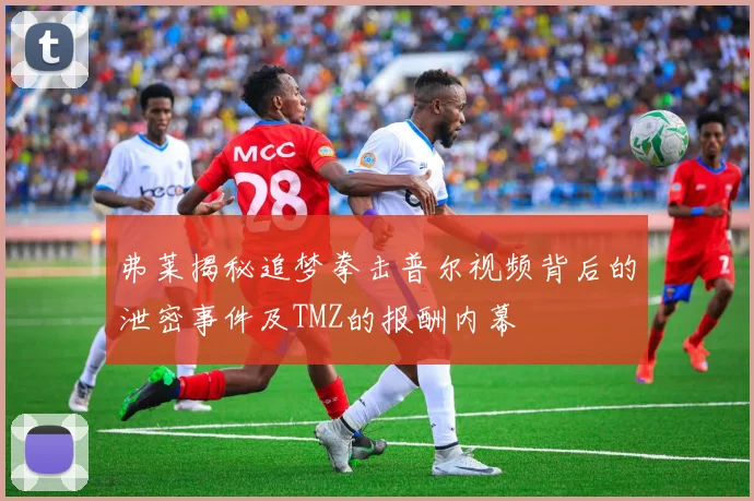 弗莱揭秘追梦拳击普尔视频背后的泄密事件及TMZ的报酬内幕