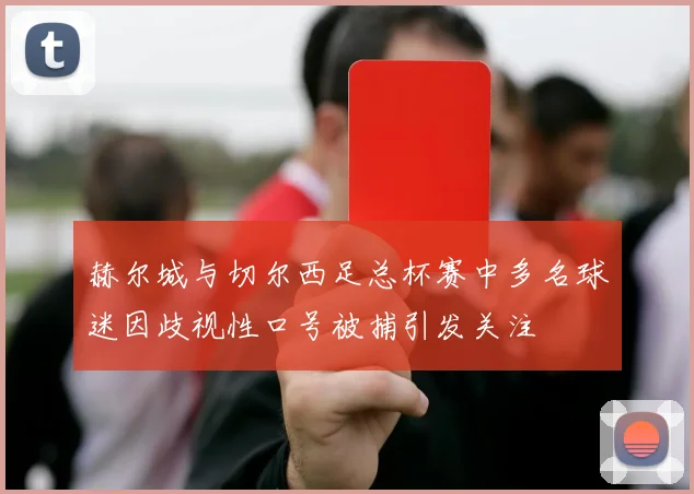 赫尔城与切尔西足总杯赛中多名球迷因歧视性口号被捕引发关注