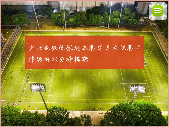少壮派教练崛起本赛季五大联赛主帅场均积分榜揭晓