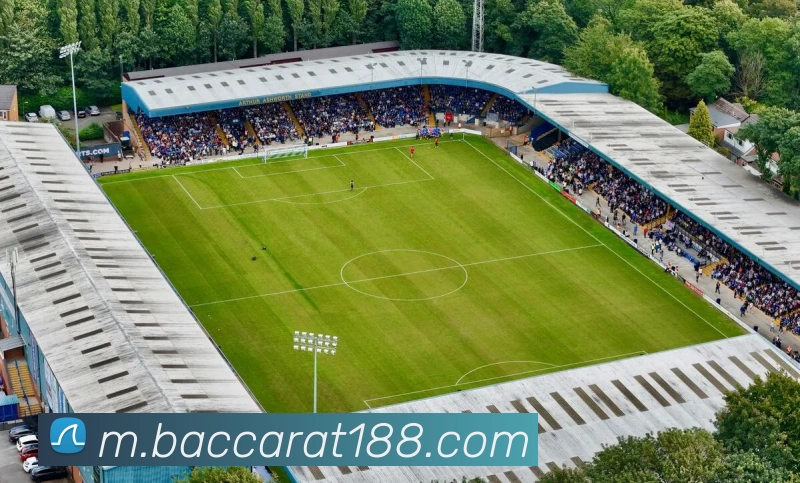 多媒体互动体验