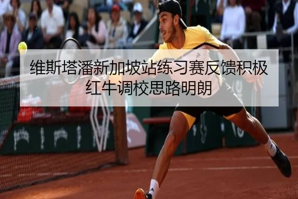 维斯塔潘新加坡站练习赛反馈积极 红牛调校思路明朗 | BaccaraGaming